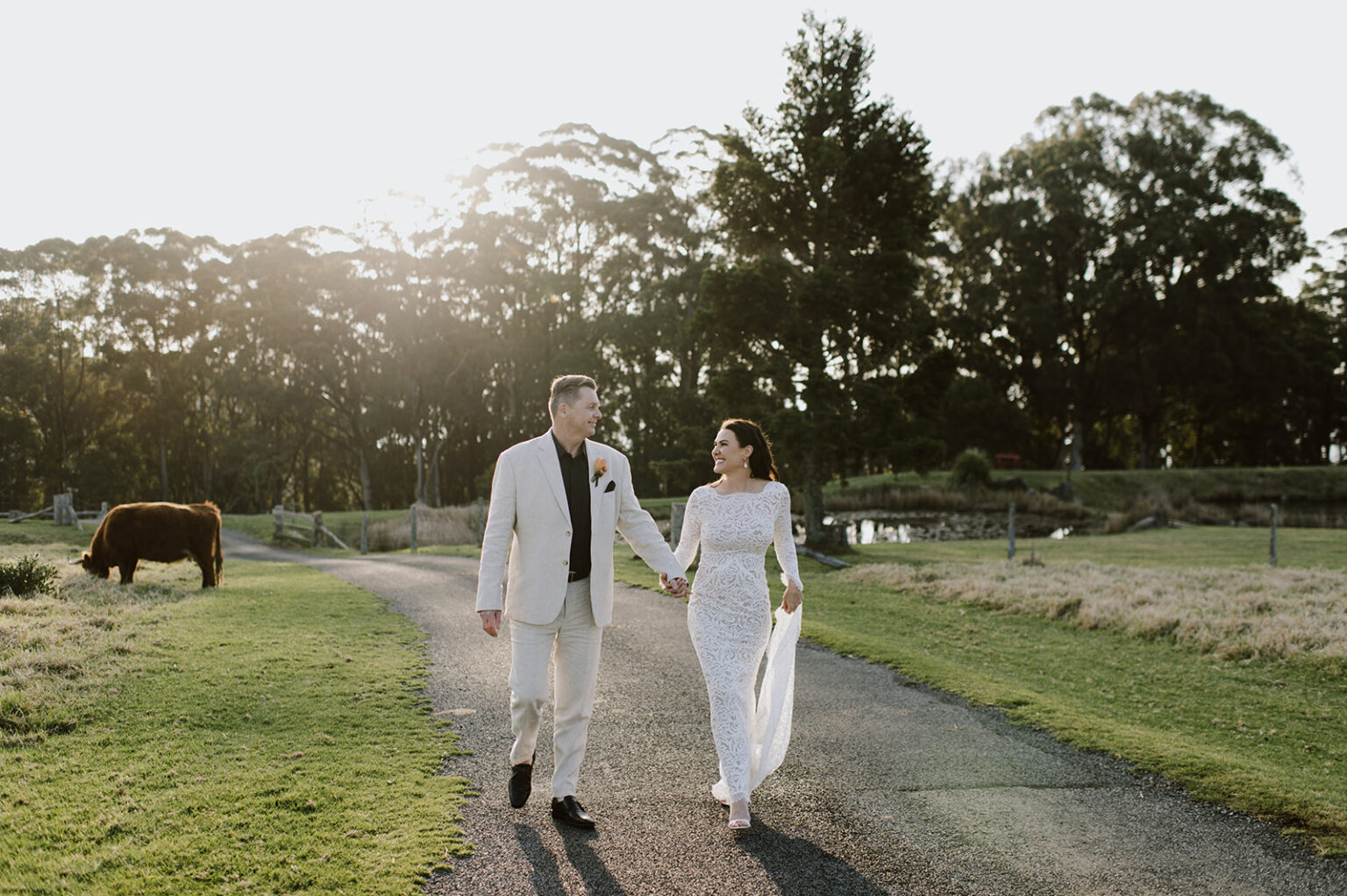 Couple walking hand in hand along the drive with cattle nearby