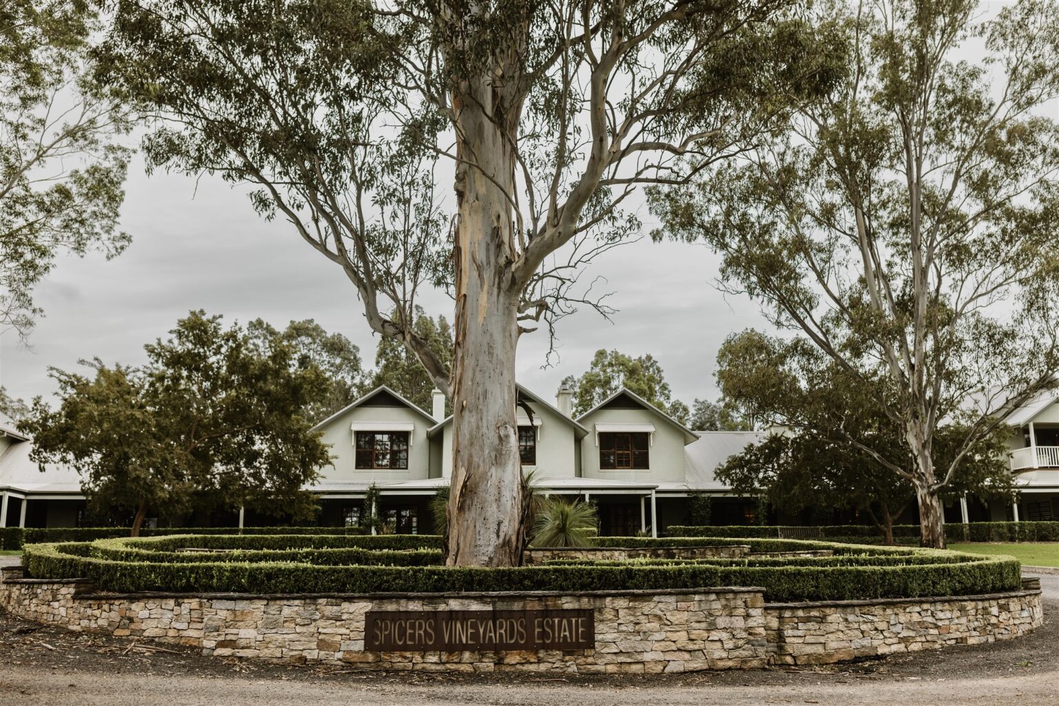 Homestead and gum tree above the entrance garden at Spicers Vineyards Estate