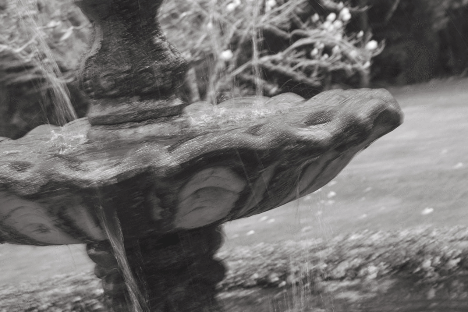 Black-and-white close-up of the garden fountain
