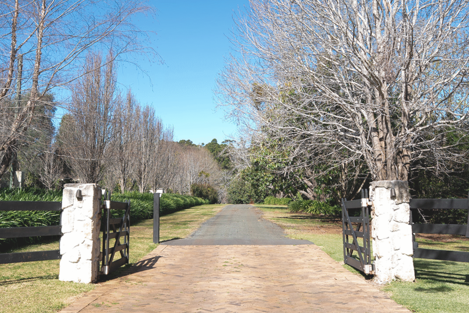 Tree-lined driveway and stone gate posts at Highgarden Estate