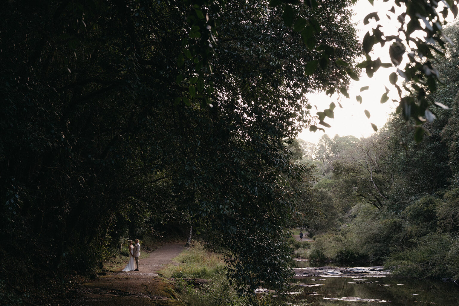 Couple by a rainforest creek framed by trees