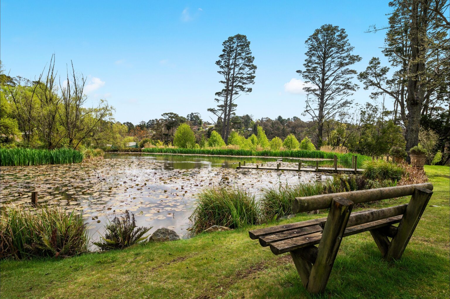 Garden bench overlooking the lily pond at Parklands, Blue Mountains