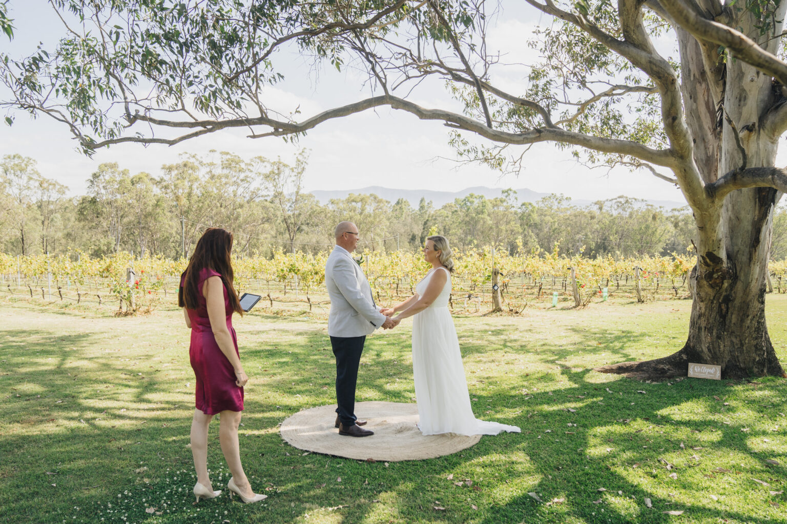 Ceremony under the gums with vineyard views at Spicers Vineyards Estate