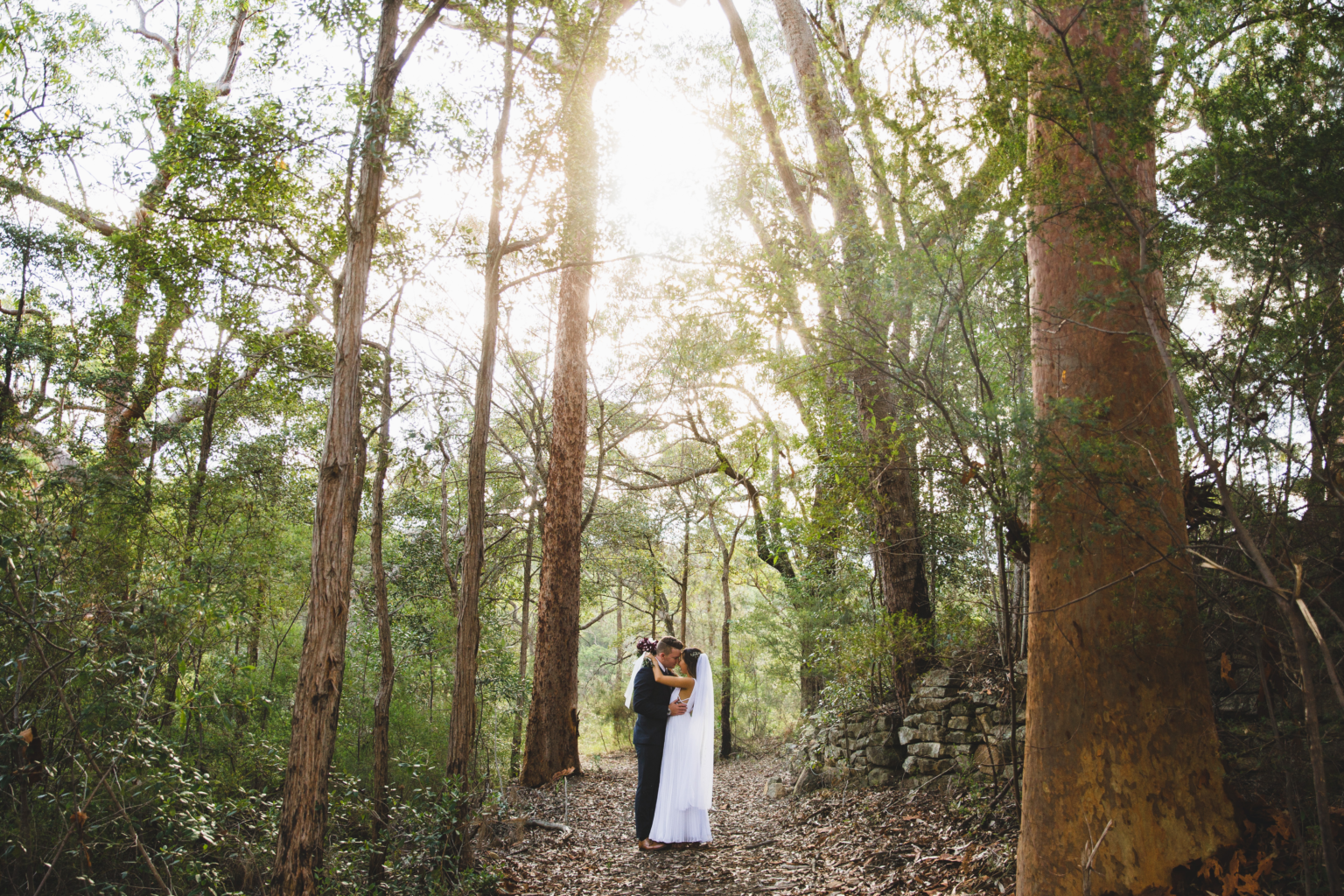 Couple standing among towering gums on a bush track