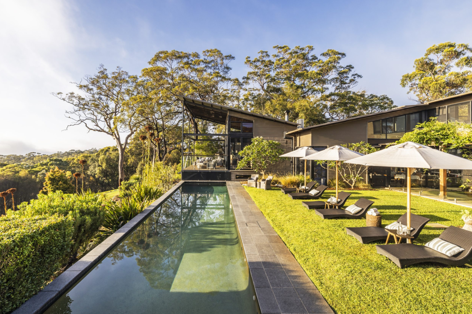 Lap pool with sun loungers and umbrellas at Spicers Sangoma Retreat