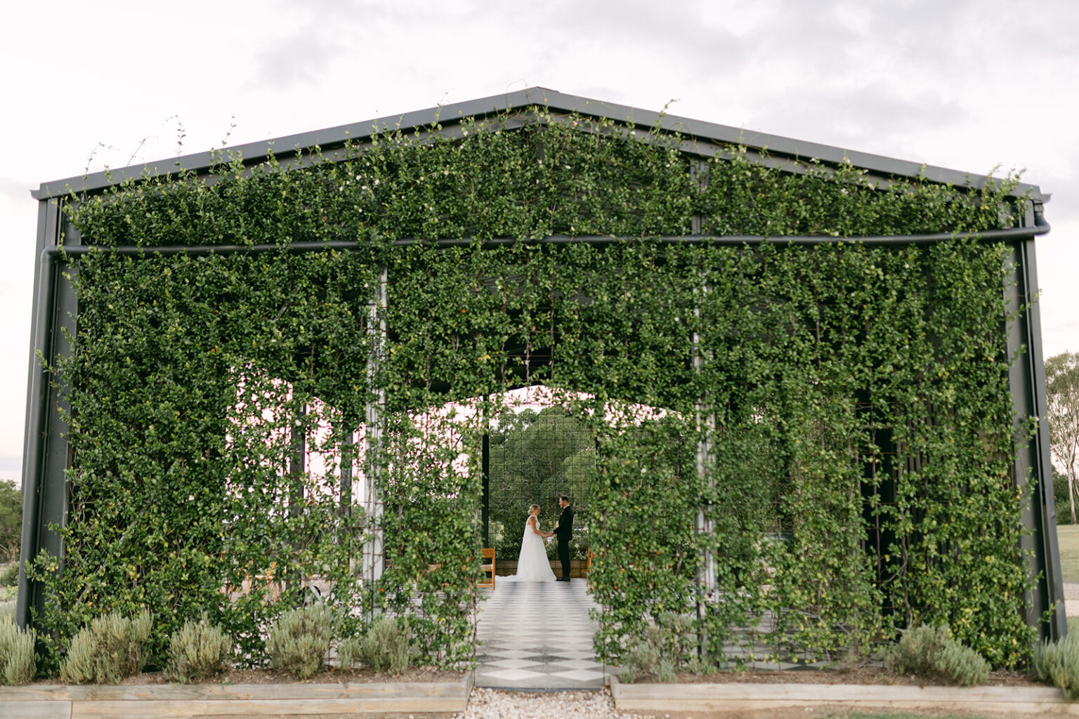 Bride walking toward the vine-covered Conservatory entrance