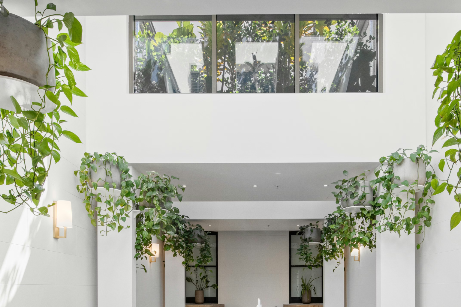 Light-filled courtyard with trailing greenery at Spicers Potts Point