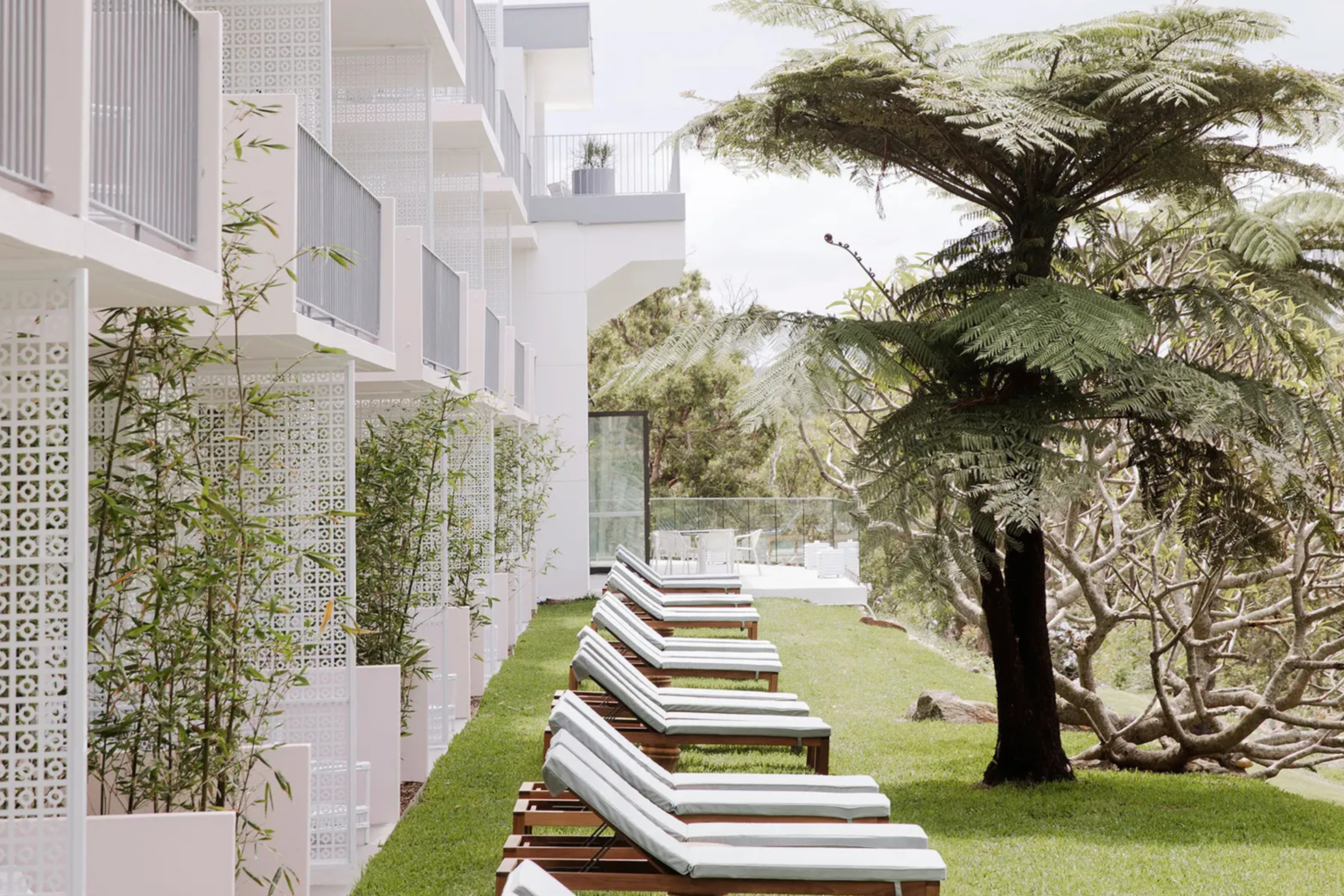 Sun loungers on the lawn beside the hotel at Bannisters Port Stephens