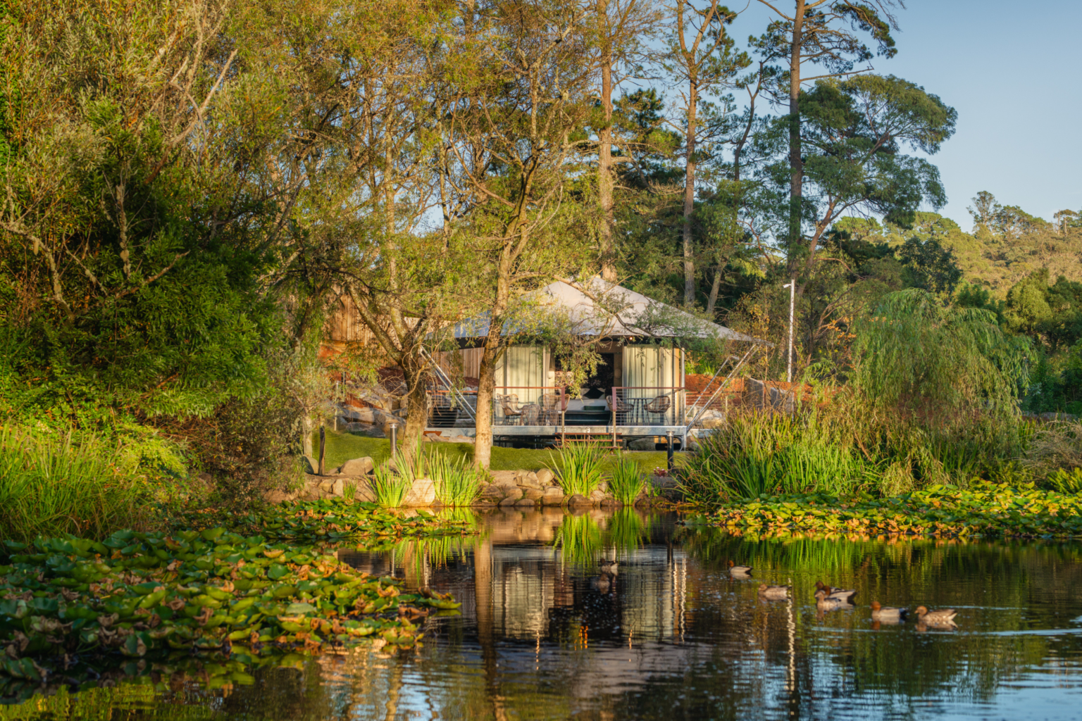 Lakeside Canopy Suite reflected in the pond at Parklands