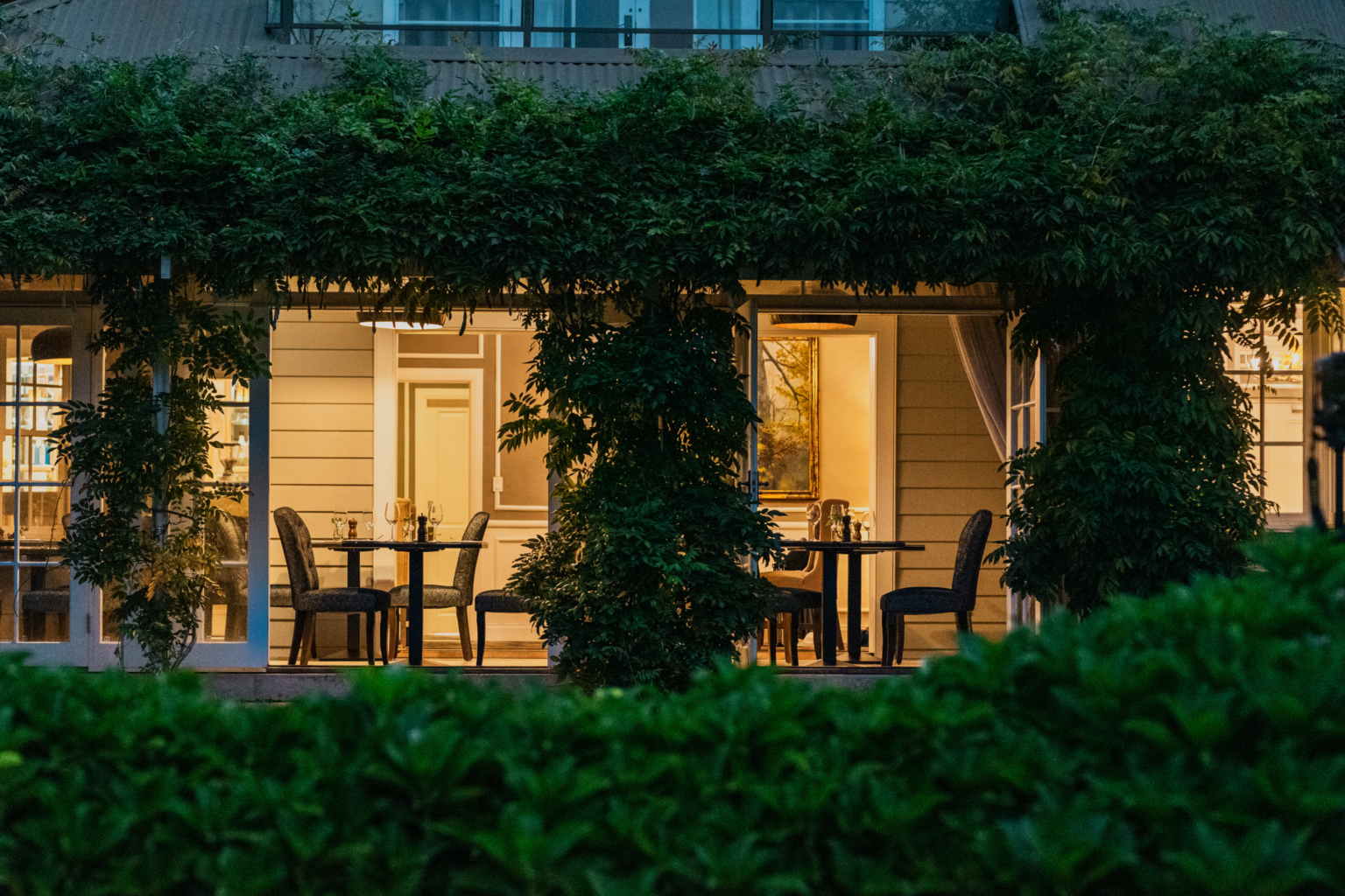 Vine-covered restaurant terrace at Parklands