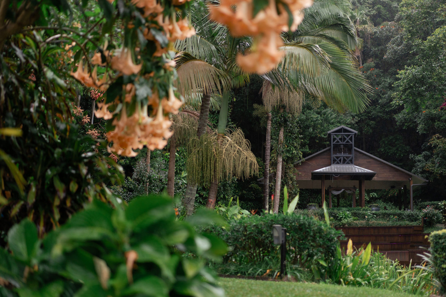 Tropical garden with flowering trees and a timber chapel at Rainforest Gardens