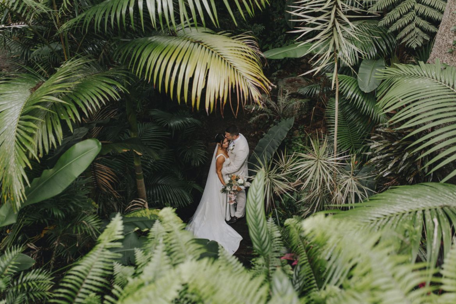 Couple embracing among lush ferns at Rainforest Gardens
