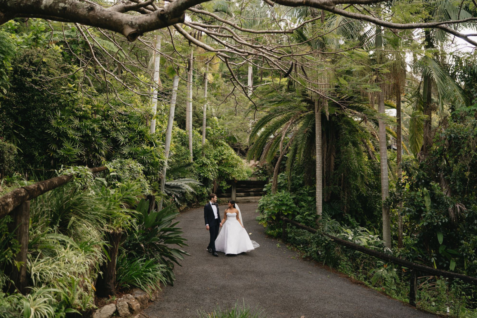 Couple walking along a palm-lined path at Rainforest Gardens, Mount Cotton