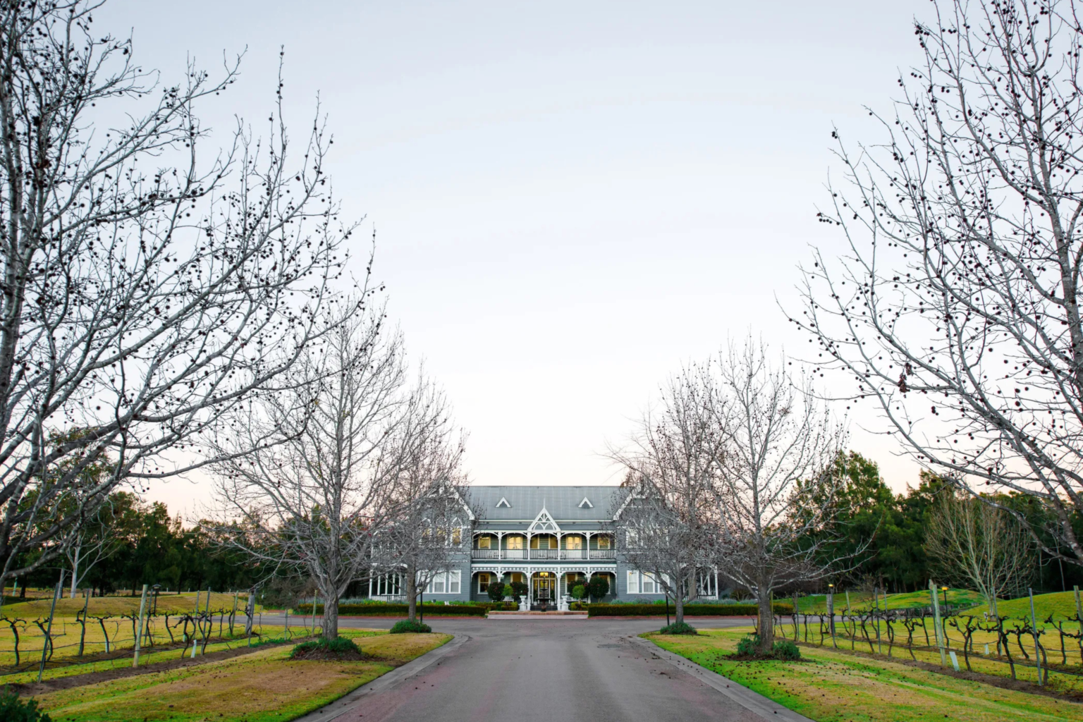 Bare winter trees lining the drive to The Convent Hunter Valley
