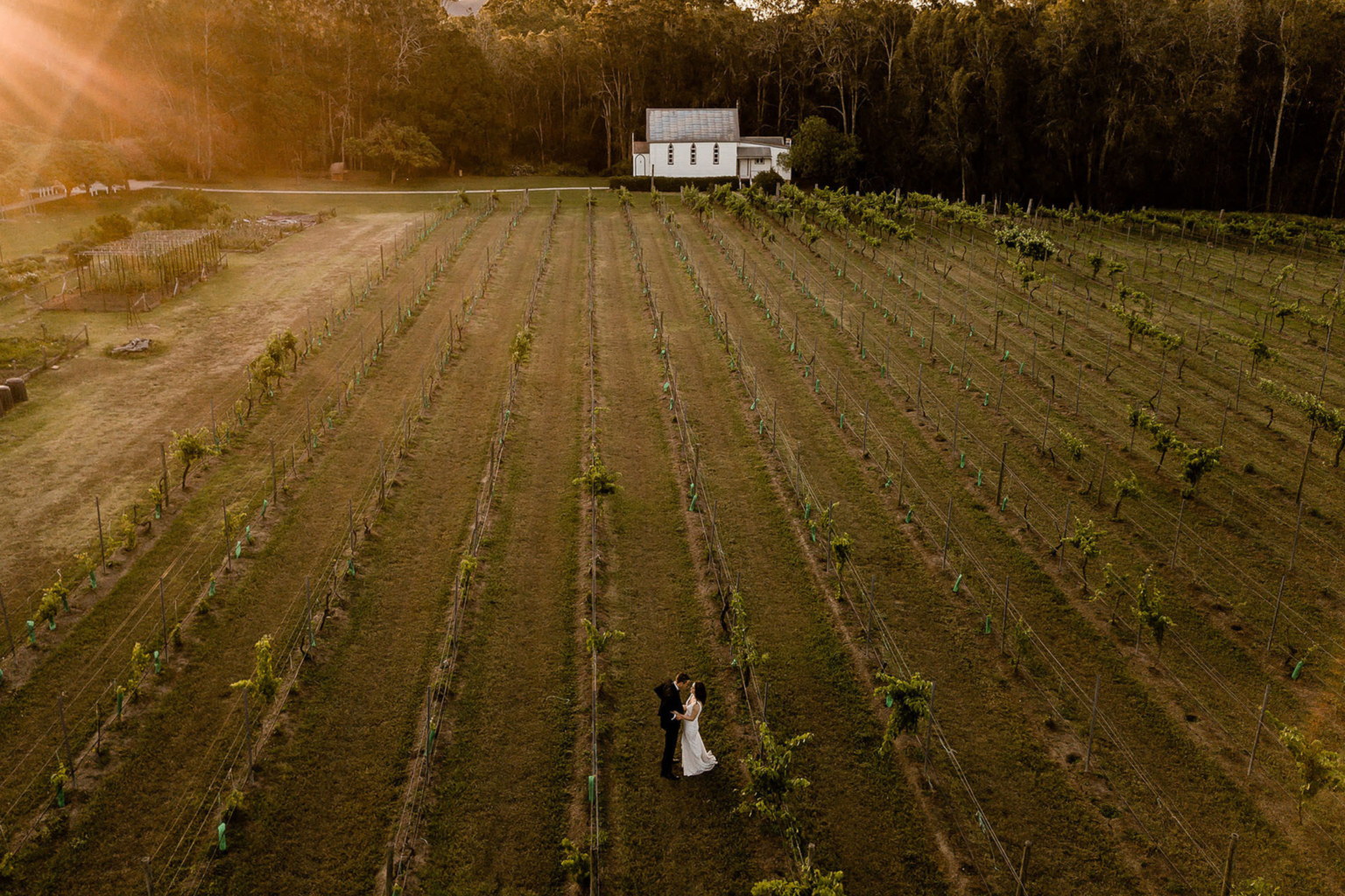 Aerial view of a couple standing among the vineyard rows at sunset