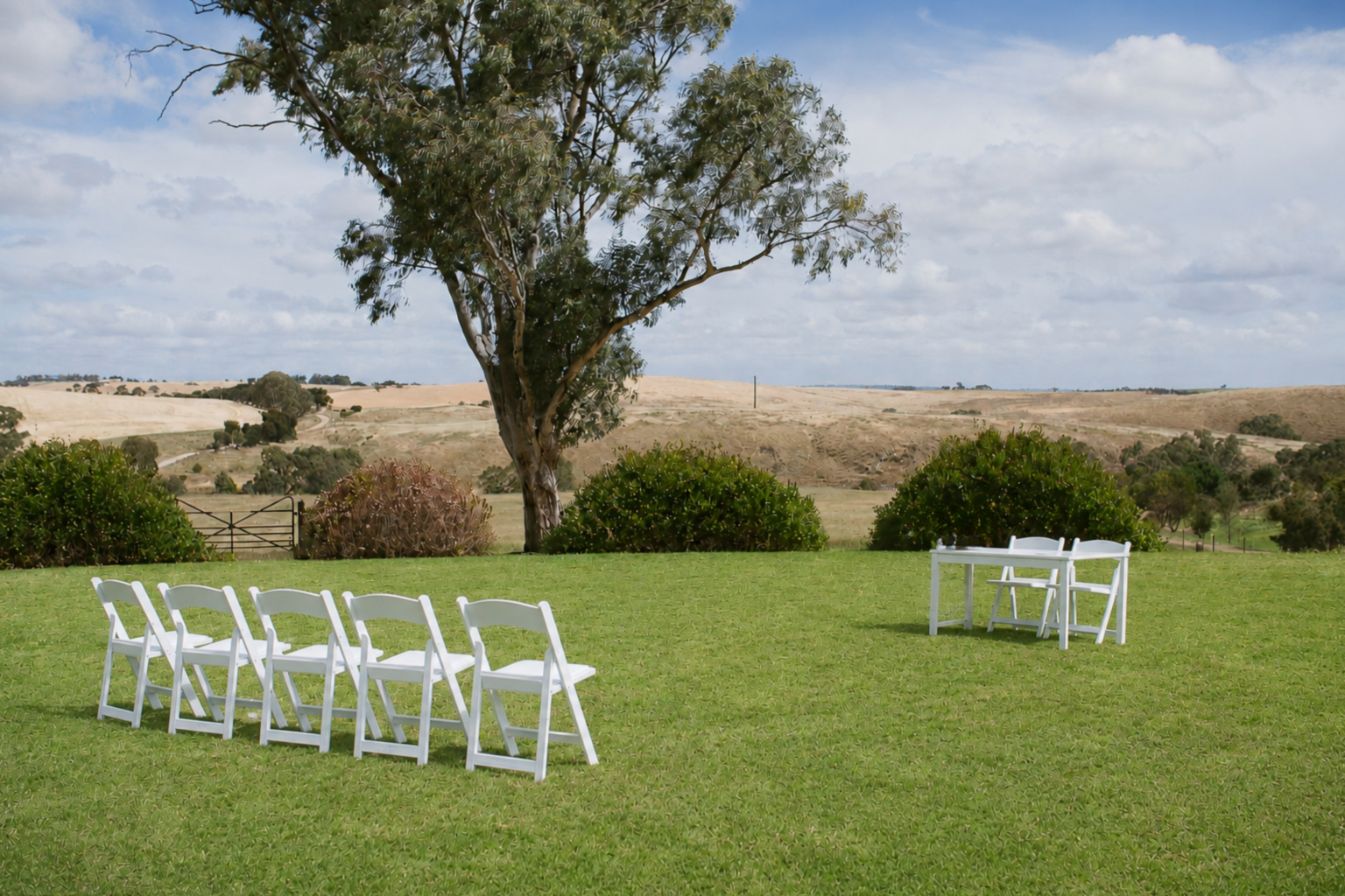 Ceremony chairs set on the lawn beneath a gum tree at Kingsford The Barossa