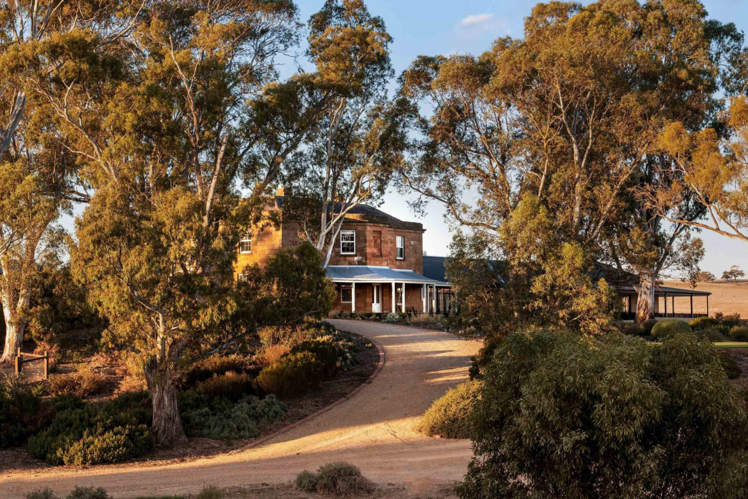 Gum-lined driveway leading to Kingsford The Barossa