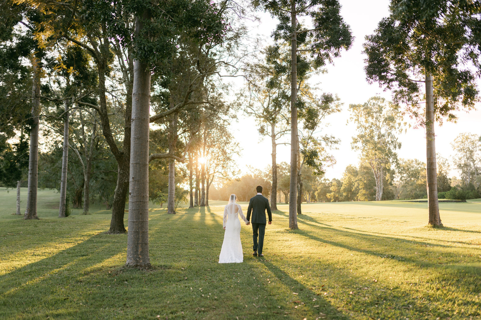 Couple walking through tall trees in golden light at Hillstone St Lucia