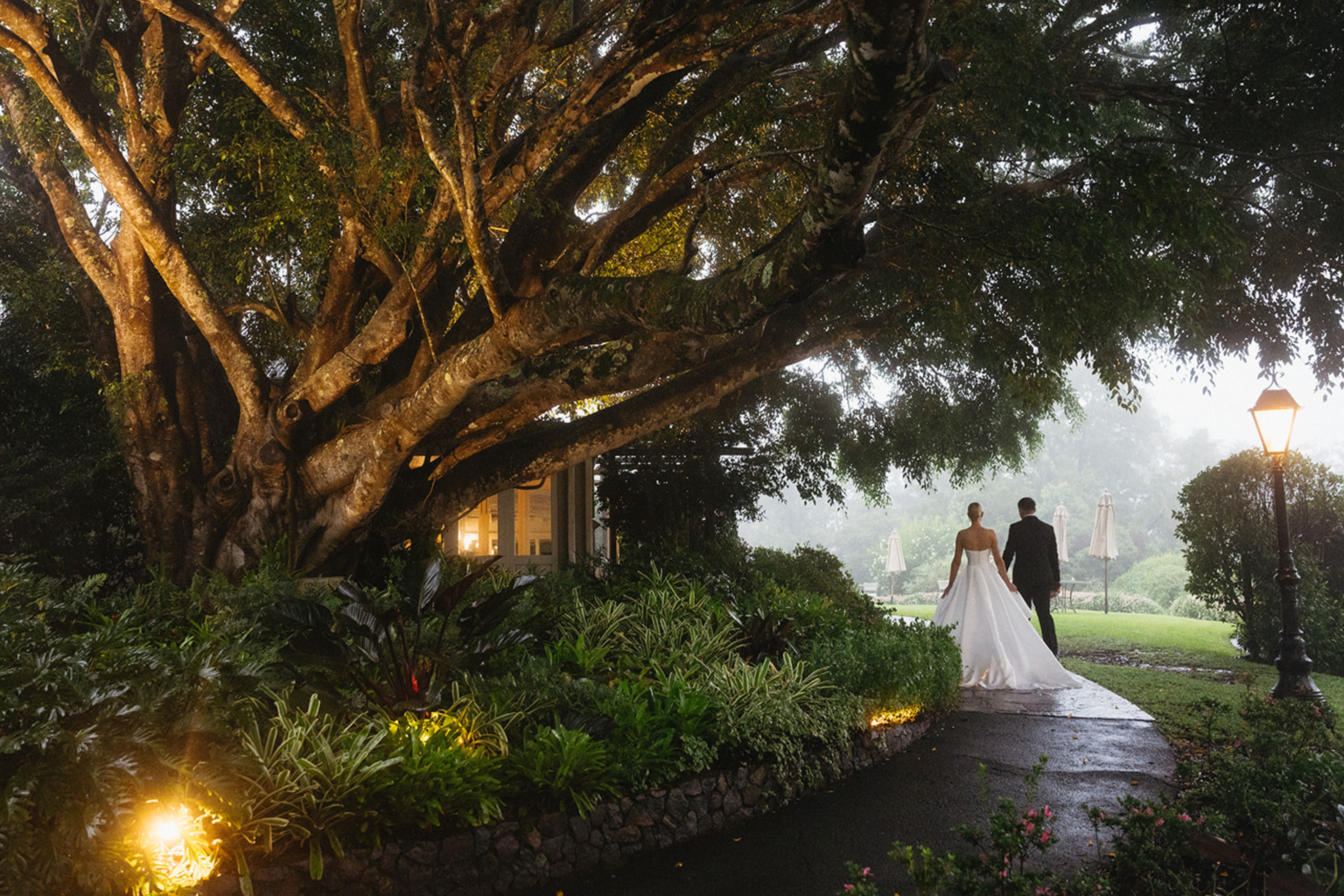 Couple beneath the fig tree on a lamplit path at dusk