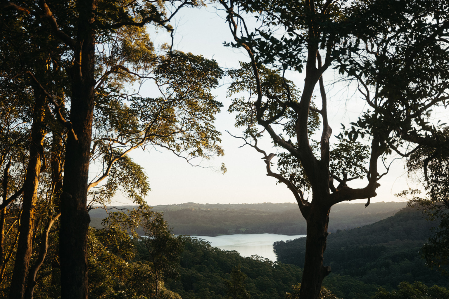 View through the trees to Lake Baroon at dusk