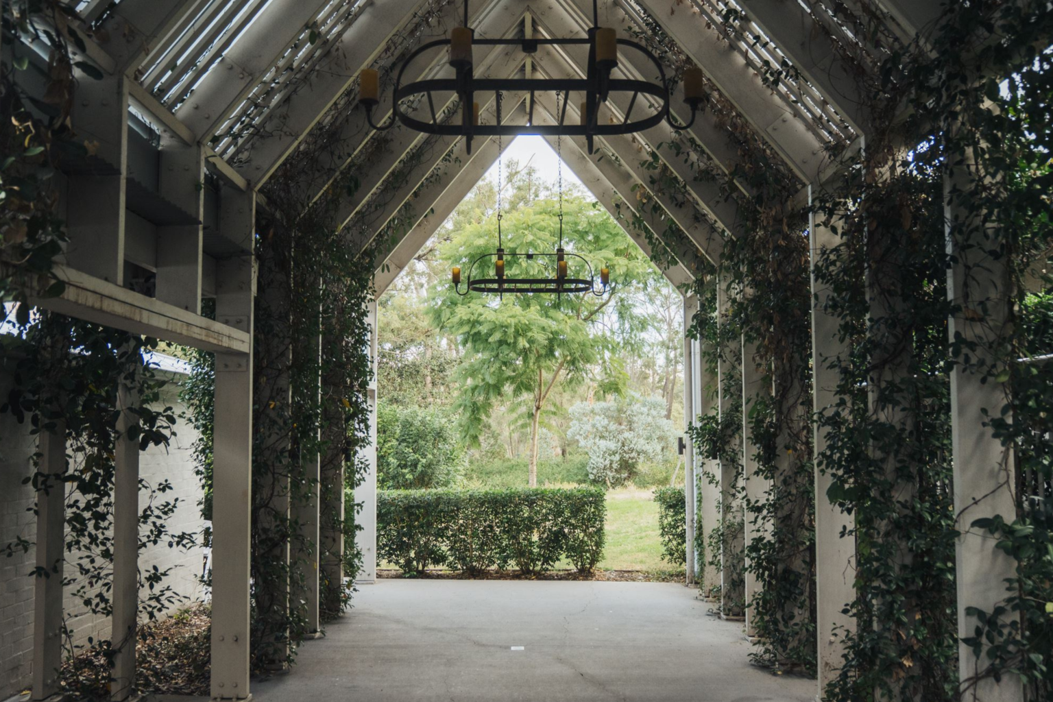 Vine-covered pergola walkway with hanging lanterns at Spicers Guesthouse